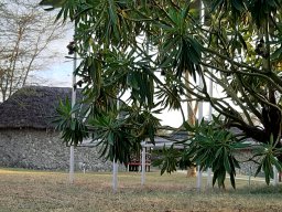 Pelican Lodge